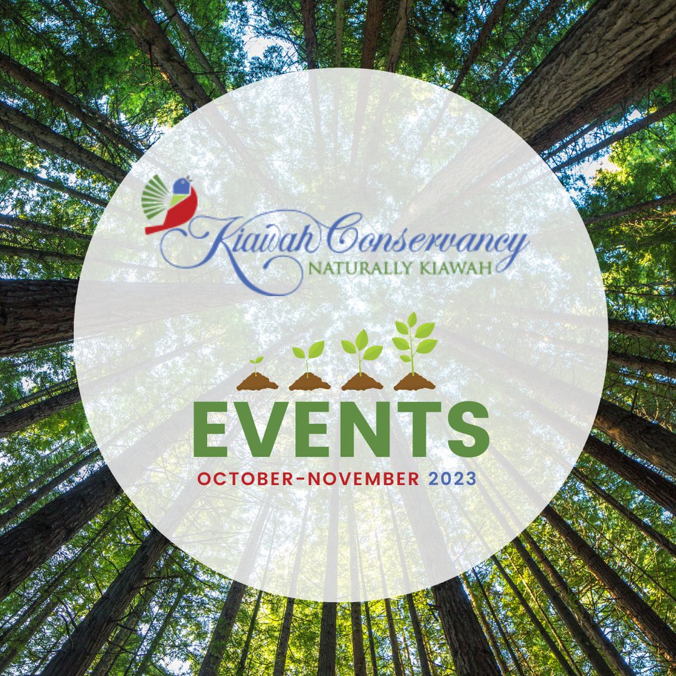 kiawah conservancy events.png